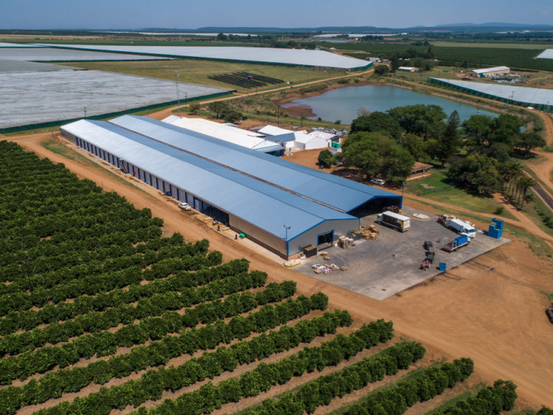 Cold Storage Infrastructure and Refrigeration Tech are Key for Growth in SA Food Production