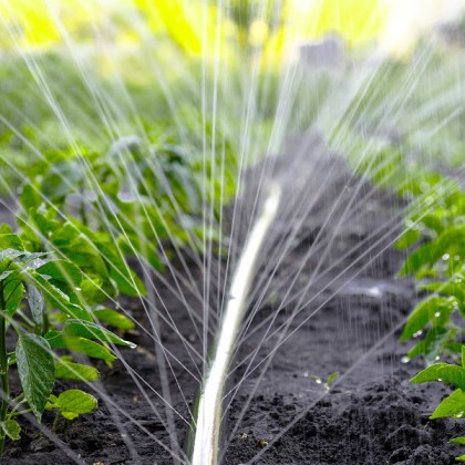 Ultimate Guide To Irrigation Systems In South Africa