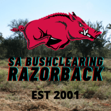 Razorback Bush Clearing
